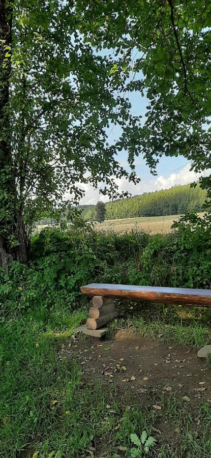 Ferienwohnung im grünen Muldental Langenbach  Exterior foto